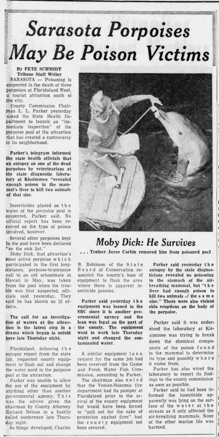 Floridaland - July 1965 Porpoises Sick (newer photo)